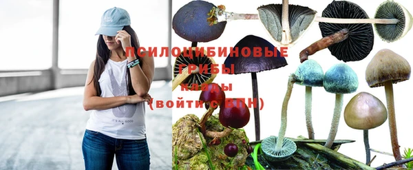марки nbome Верея